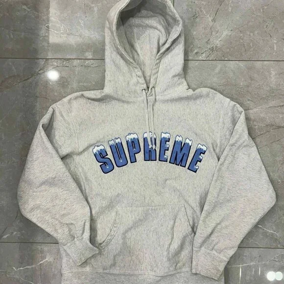 Supreme Icy Arc Hoodie - Medium - Picture 1 of 5